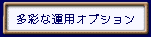 ���ʂȃz�[���y�[�W�^�p�I�v�V�����c